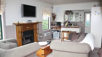 Smart TV, fireplace, stereo