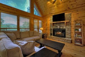 Smart TV, fireplace, books, music library