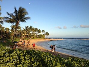 Beach nearby, sun-loungers, beach towels - Stunning 2 Bedroom Luxury Cottage 300 feet from Poipu Beach Park (Koloa)