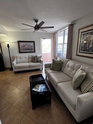 TV, DVD player, books, video library