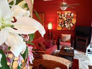 Fernseher, DVD-Player, Bücher, Musikbibliothek