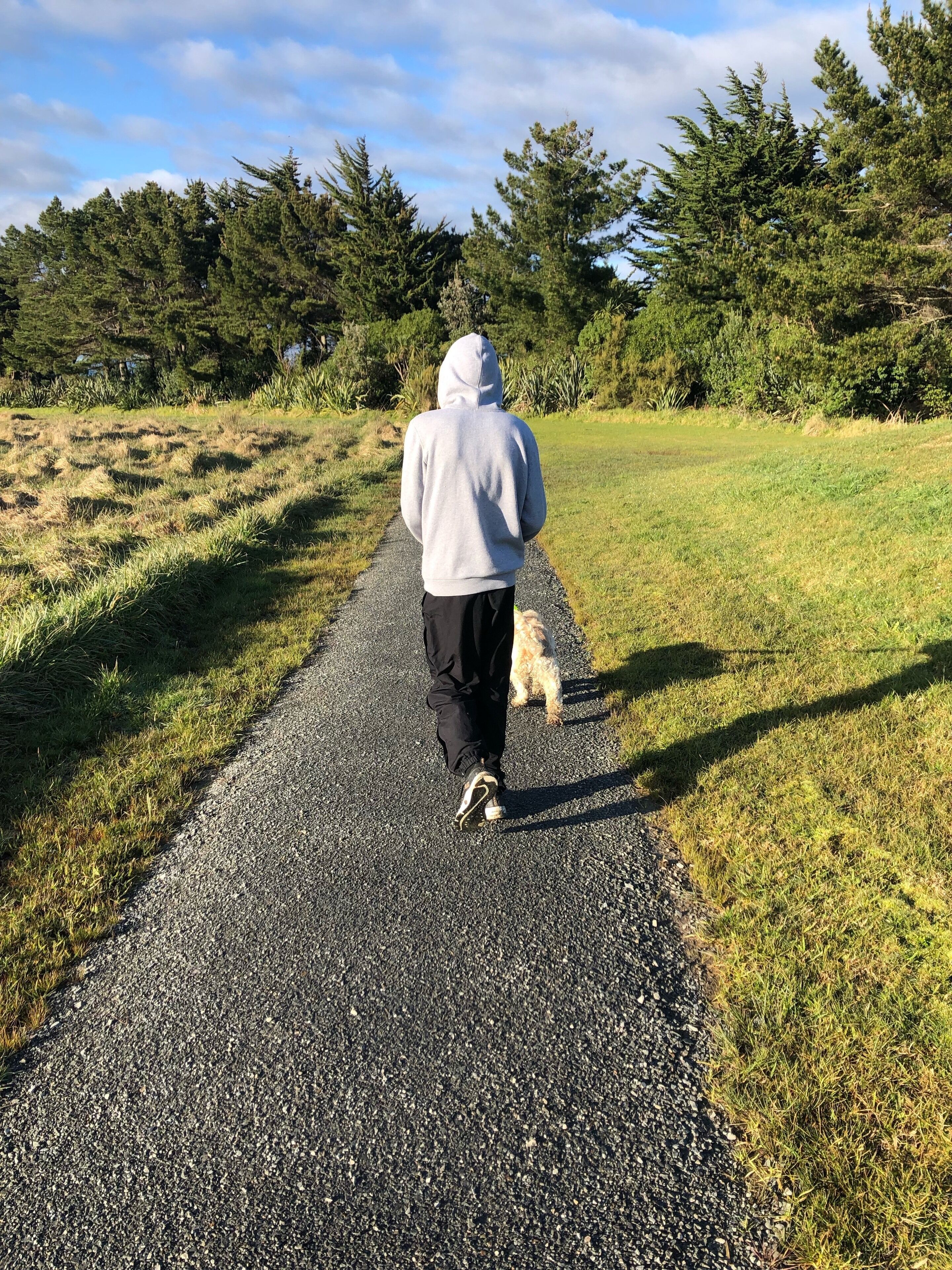 Une personne promène un chien sur un chemin de gravier, entouré d’herbe et d’arbres.