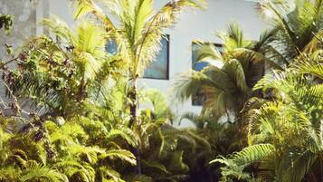 A pathway leading to a modern building surrounded by lush greenery and palm trees.