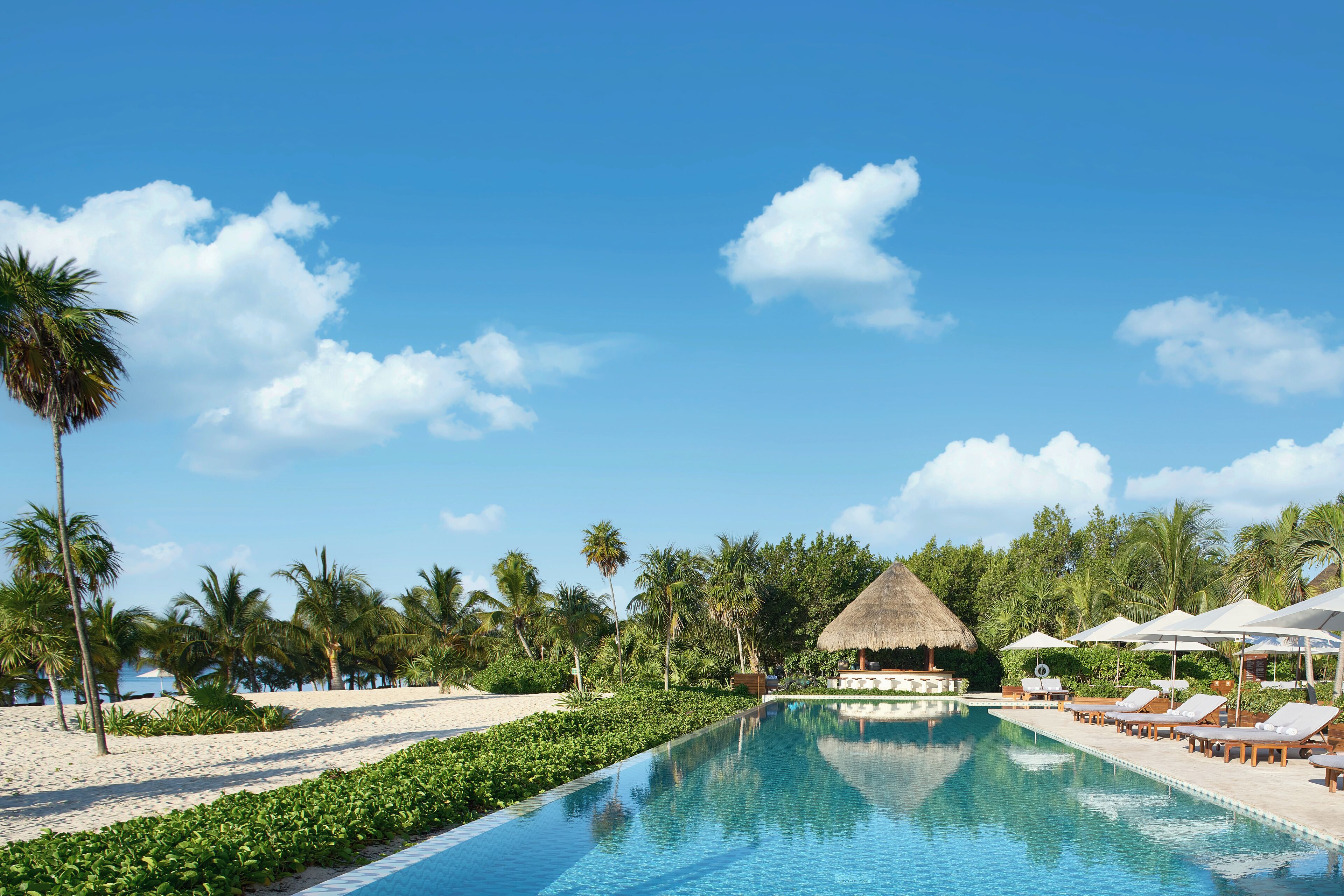 A poolside area with lounge chairs, a thatched-roof structure, and palm trees.