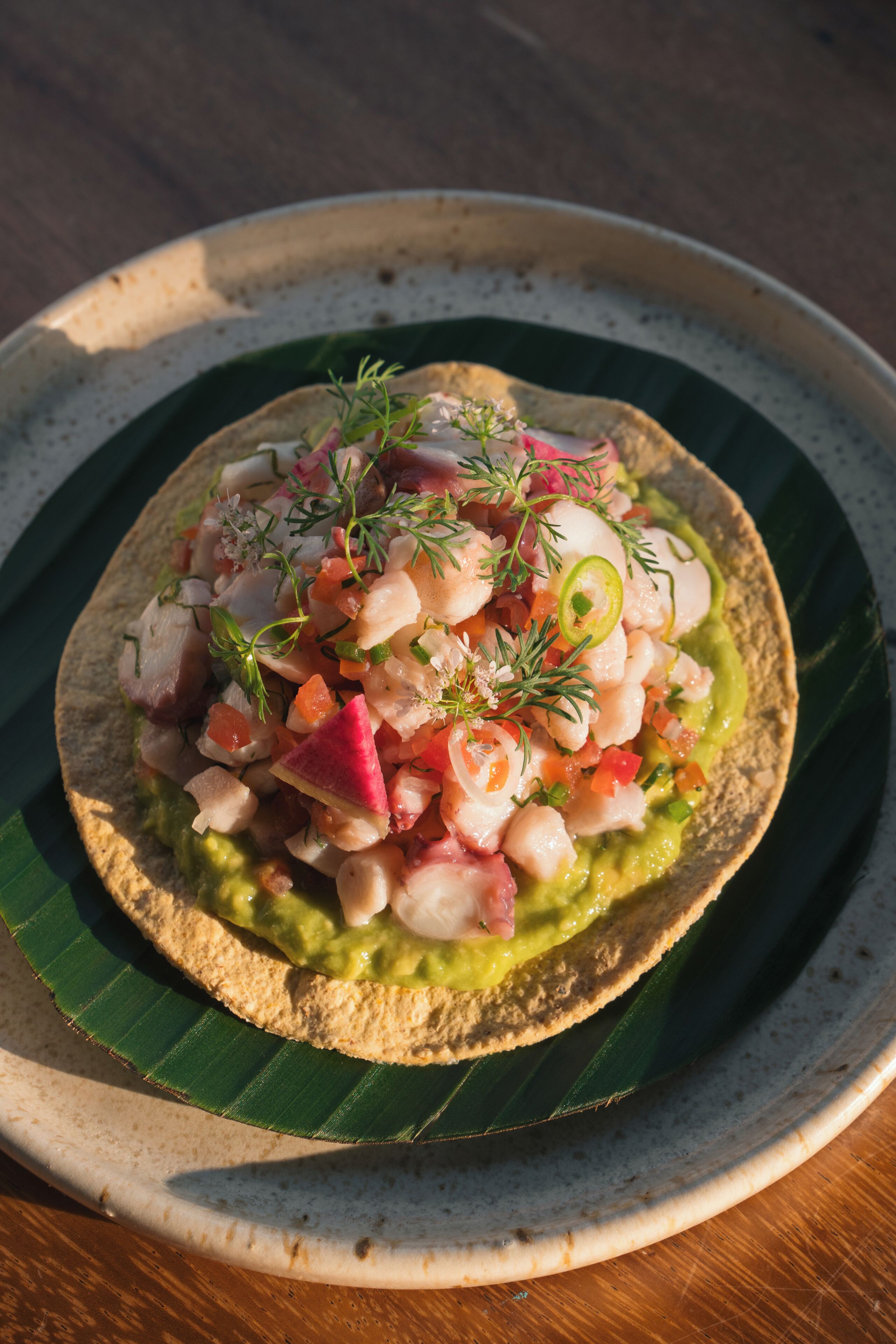 Un plato con una tortilla cubierta de guacamole, tomates picados, cebollas y hierbas.
