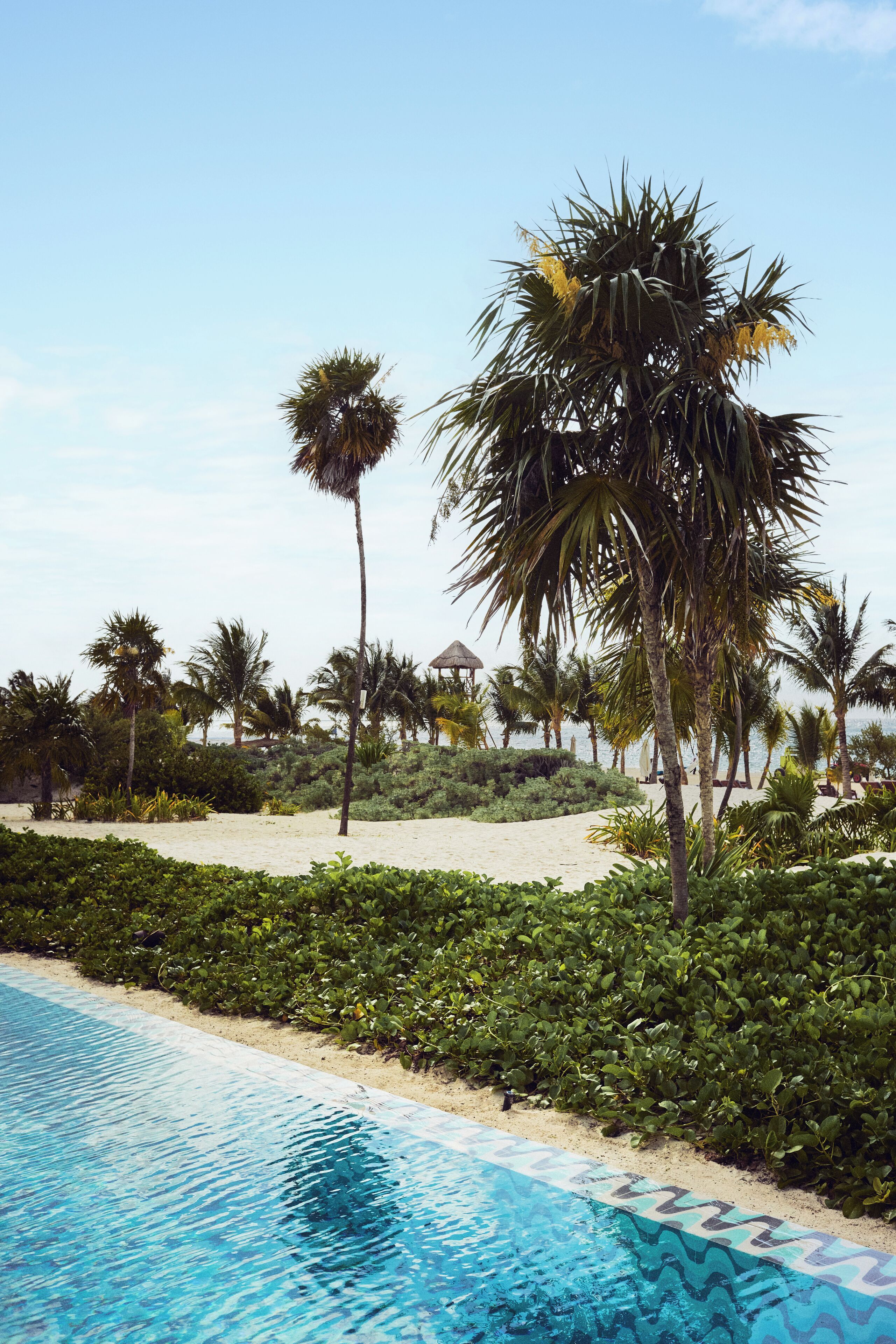 Blick auf einen Poolrand mit blauem Wasser, Palmen und einem Sandstrand.