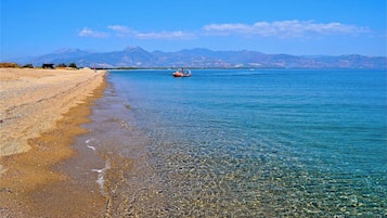 在海灘附近