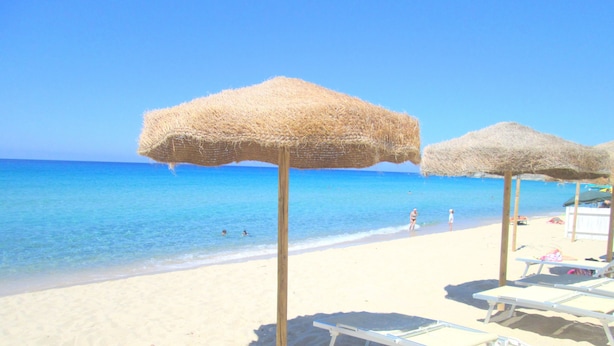 Una playa con sombrillas de paja y sillas de tomar el sol.