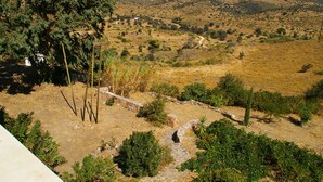 A rural landscape with a dirt path, trees, and a stone wall.