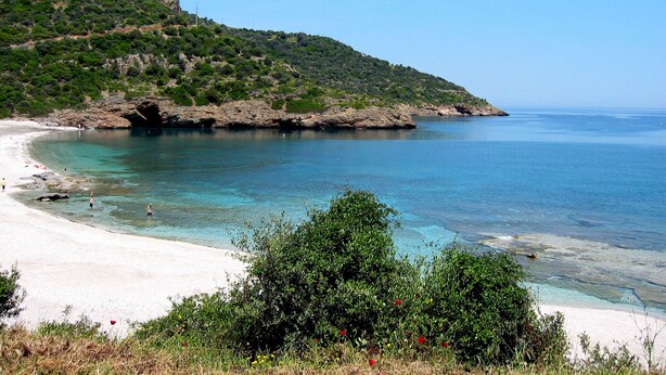 A coastal beach with clear turquoise water, sandy shore, and lush greenery.