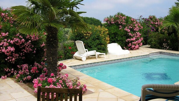 A pool area with white lounge chairs, a palm tree, and pink flowering bushes. - Independent villa with pool (Agde)