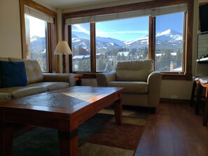 智能电视、DVD 播放器