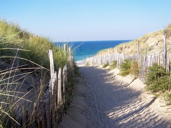 海灘、躺椅、沙灘巾