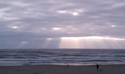 ¡En la playa! Escápese a la playa en hermosos Moclips: ¡los perros son bienvenidos!