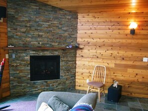 Una Smart TV, una chimenea, un reproductor de DVD, libros