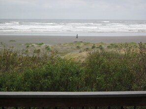On the beach - On the beach! Get away to the beach in beautiful Moclips - dogs welcome! (Moclips)