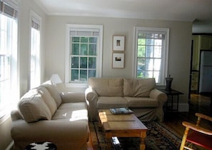 Smart TV, fireplace, DVD player, books
