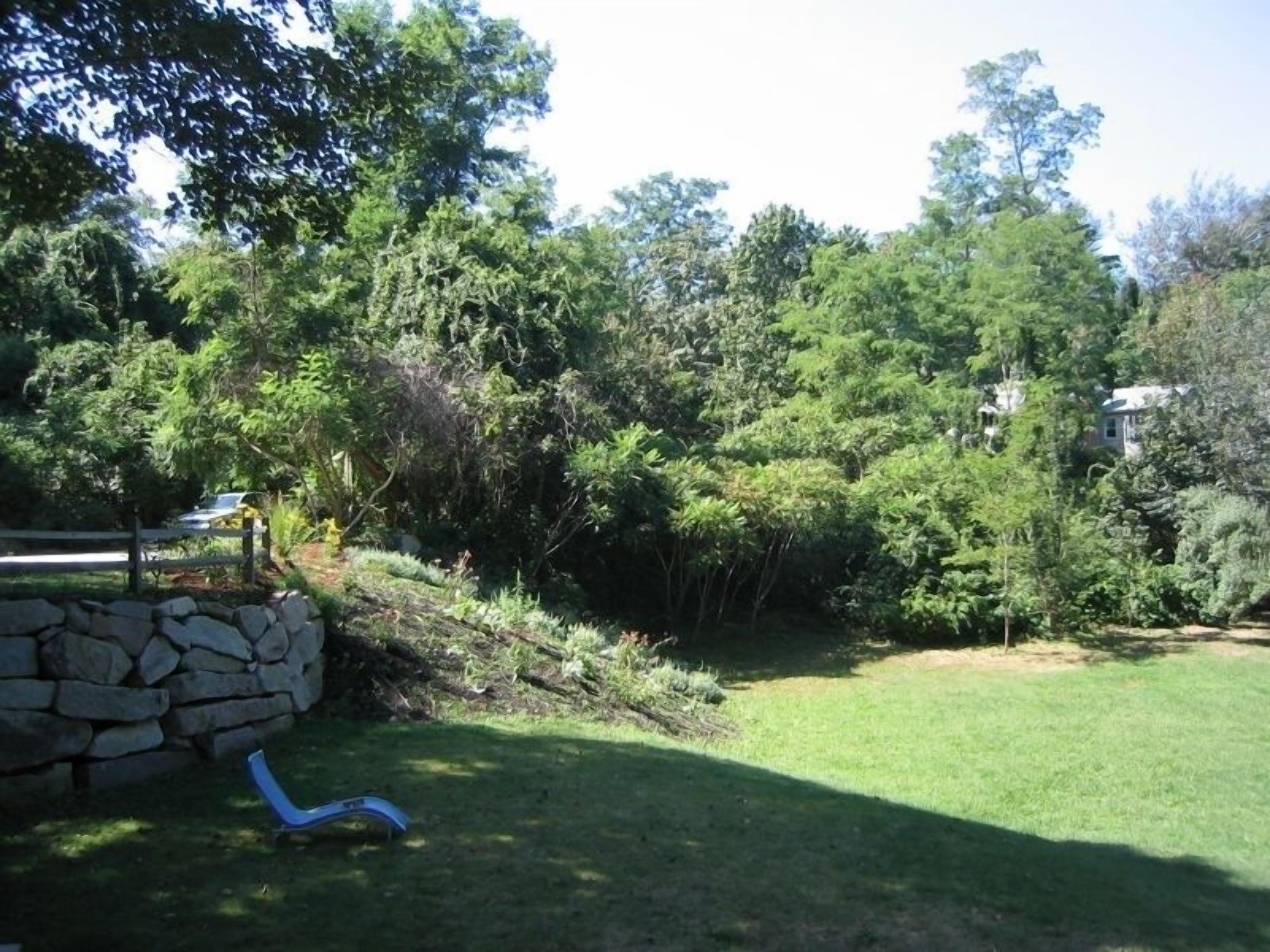 A backyard with a stone wall, a lawn, and various trees.