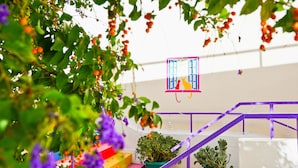 Uma escadaria com degraus coloridos, rodeada por vegetação e plantas em vasos.