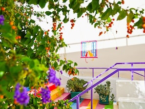建物のデザイン