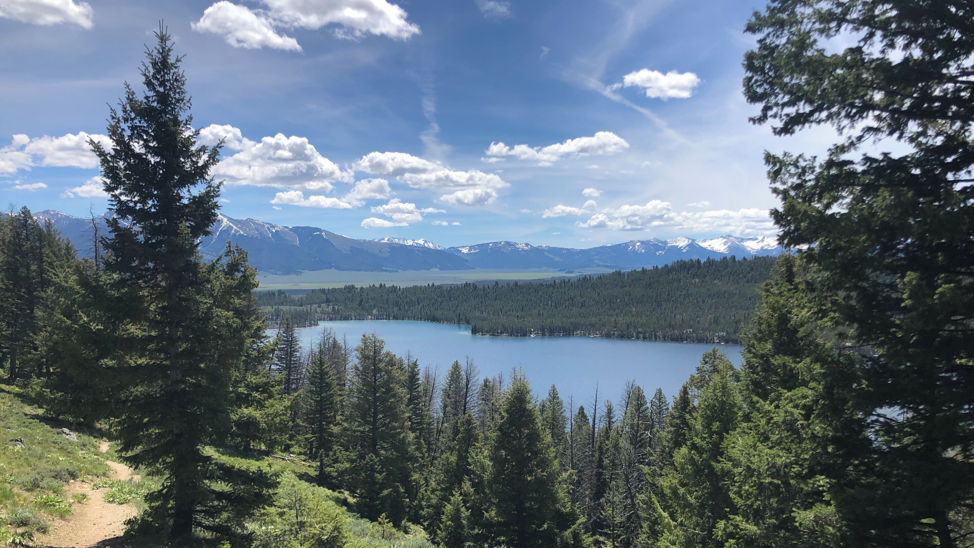 A lake surrounded by dense forest and mountains in the background.