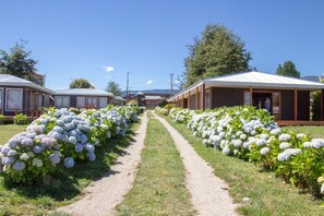 Garden - Cabanas Lafquintue (Futrono)