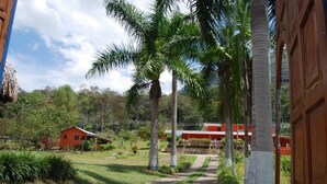 Un sendero lleva a un edificio rojo rodeado de palmeras y follaje.