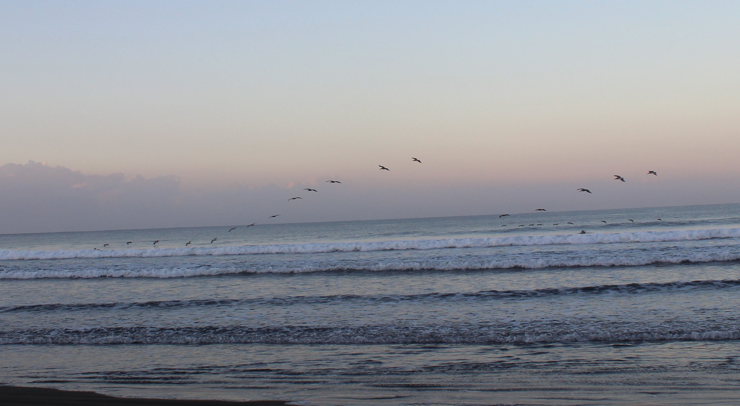 ชายหาด