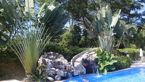 A swimming pool with a waterfall feature, surrounded by large tropical plants and rocks. - Club del cielo Unit 1 (Jacó)