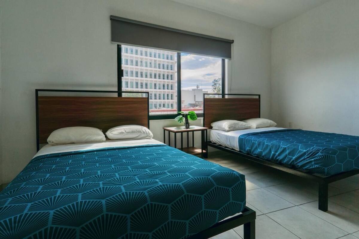 Habitación de hotel con dos camas, una mesita con una planta y una ventana que ofrece vistas a un edificio.