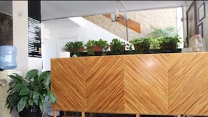 A reception desk with a chevron-patterned wood finish, potted plants, and a water dispenser. - Casa Zapopan Hotel (Zapopan)