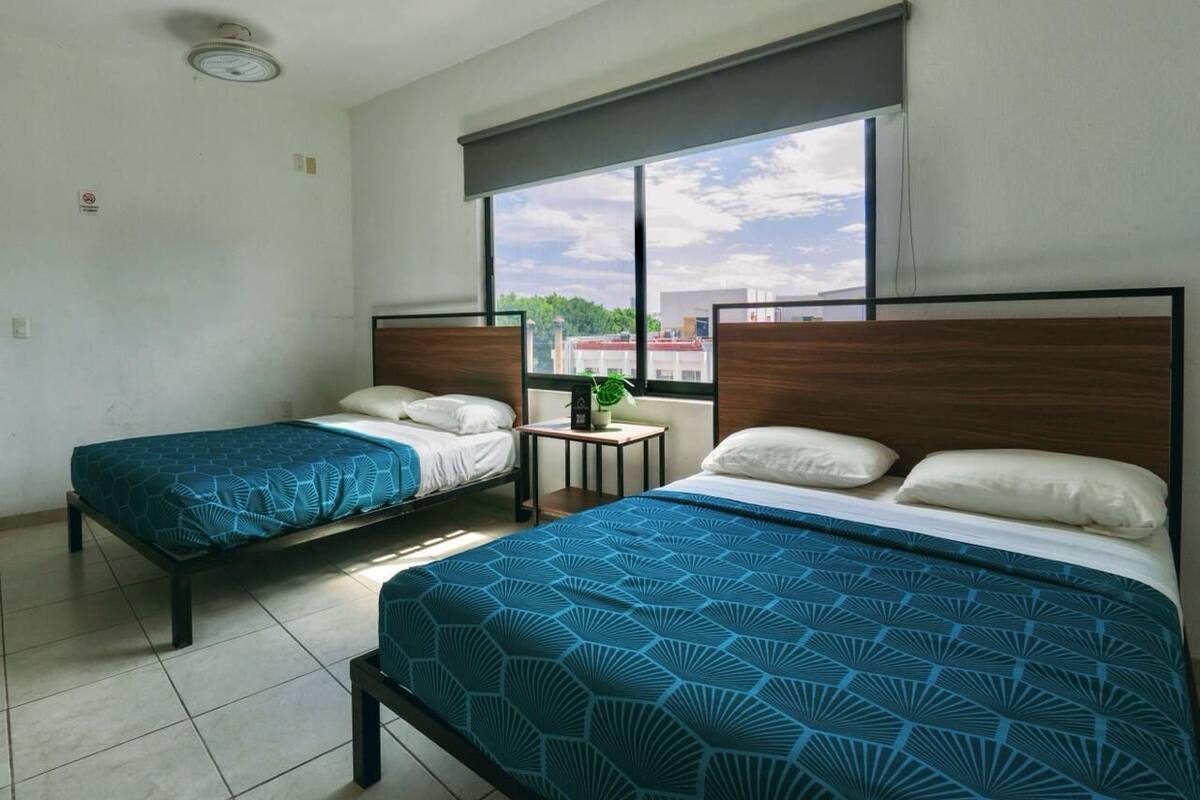 Habitación de hotel con dos camas individuales, una mesita con una planta y un ventanal con vista a la ciudad.