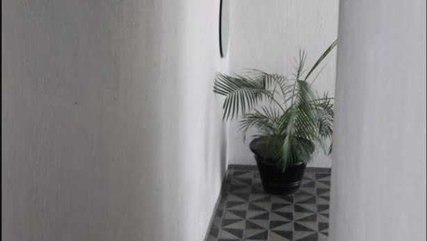 A narrow hallway with a potted plant on a tiled floor. - Casa Zapopan Hotel (Zapopan)