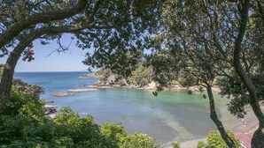 Eine Küstenlandschaft mit klarem Wasser, felsigen Felsen und dichter Vegetation.