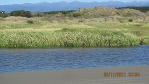 A natural landscape with a river, grassy fields, and mountains in the background.
