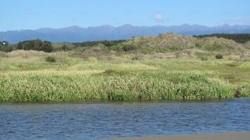 Un paysage naturel avec une rivière, des prairies et des montagnes en arrière-plan.