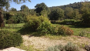 A garden with a variety of plants, a gravel path, and a stone wall.