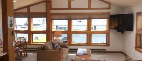 تلفزيون، مشغل دي في دي