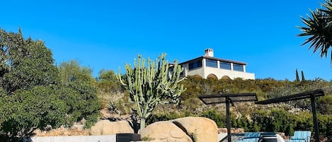 Outdoor pool, open 9:00 AM to 11:30 PM, pool umbrellas, pool loungers
