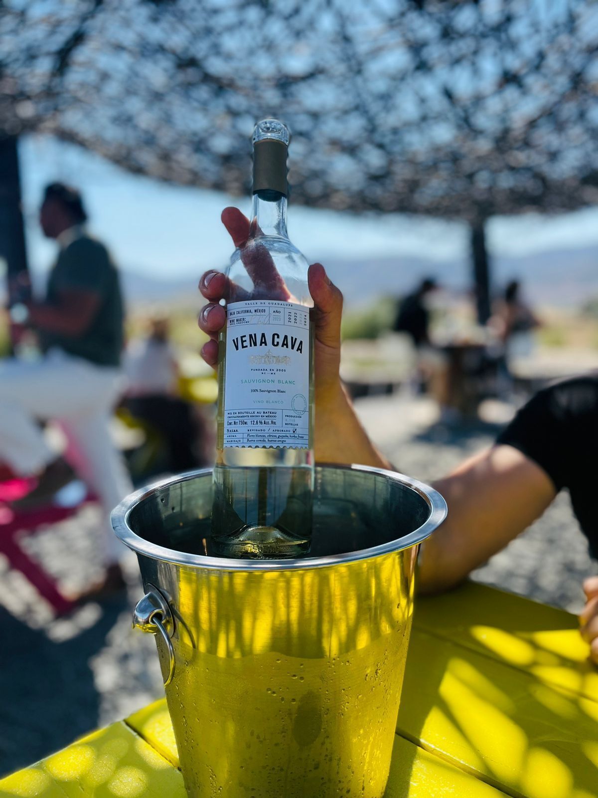 A hand holding a bottle of Vena Cava wine, placed in a metal bucket on a yellow table.