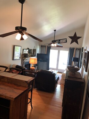 TV, fireplace, DVD player, books