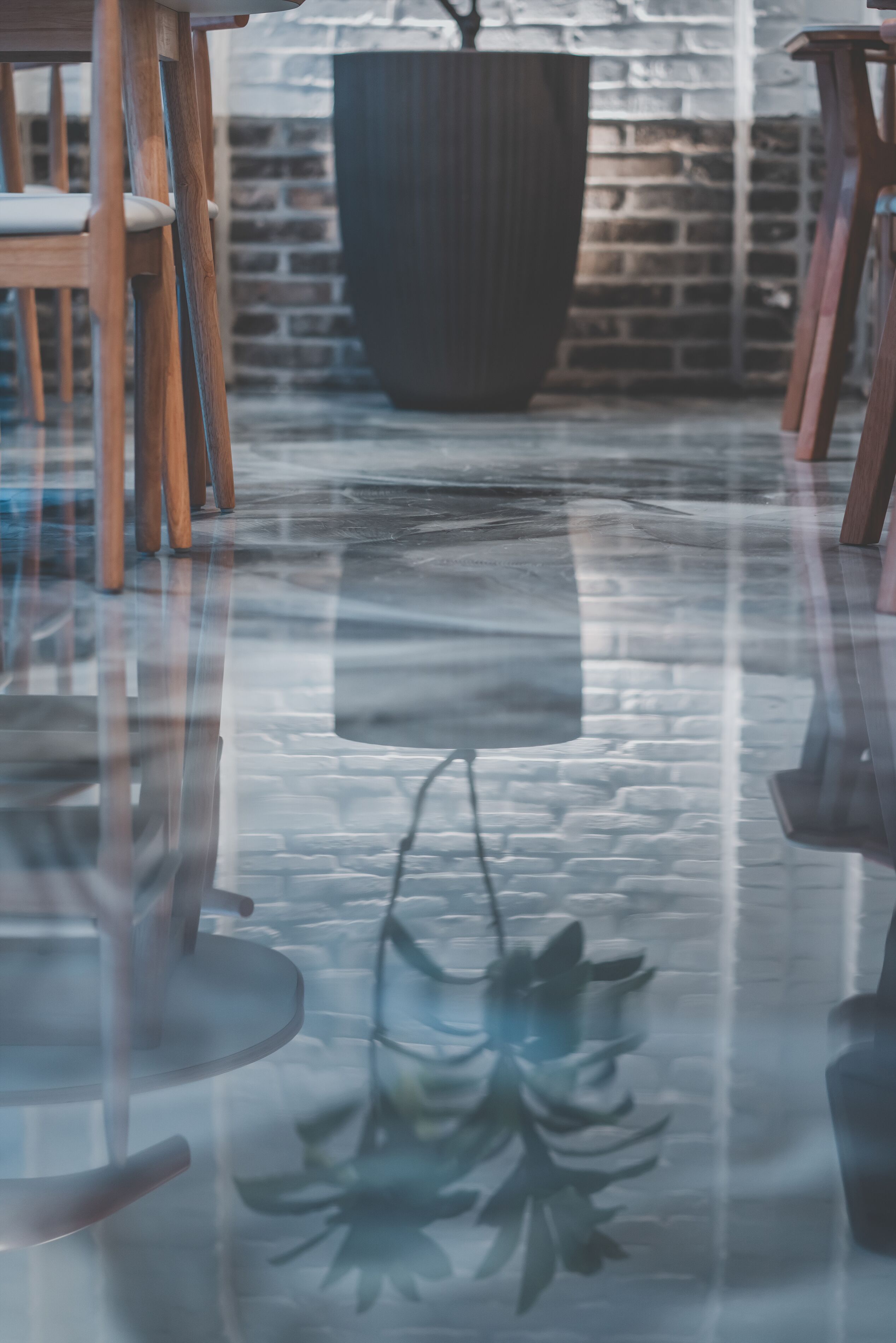 A room with a glass floor, wooden chairs, a large potted plant, and a brick wall.