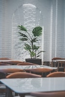Interior de restaurante con paredes de ladrillo blanco, una planta grande en el centro y mesas y sillas de madera.