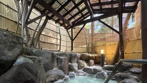 An indoor enclosure with a rocky landscape and a water feature.