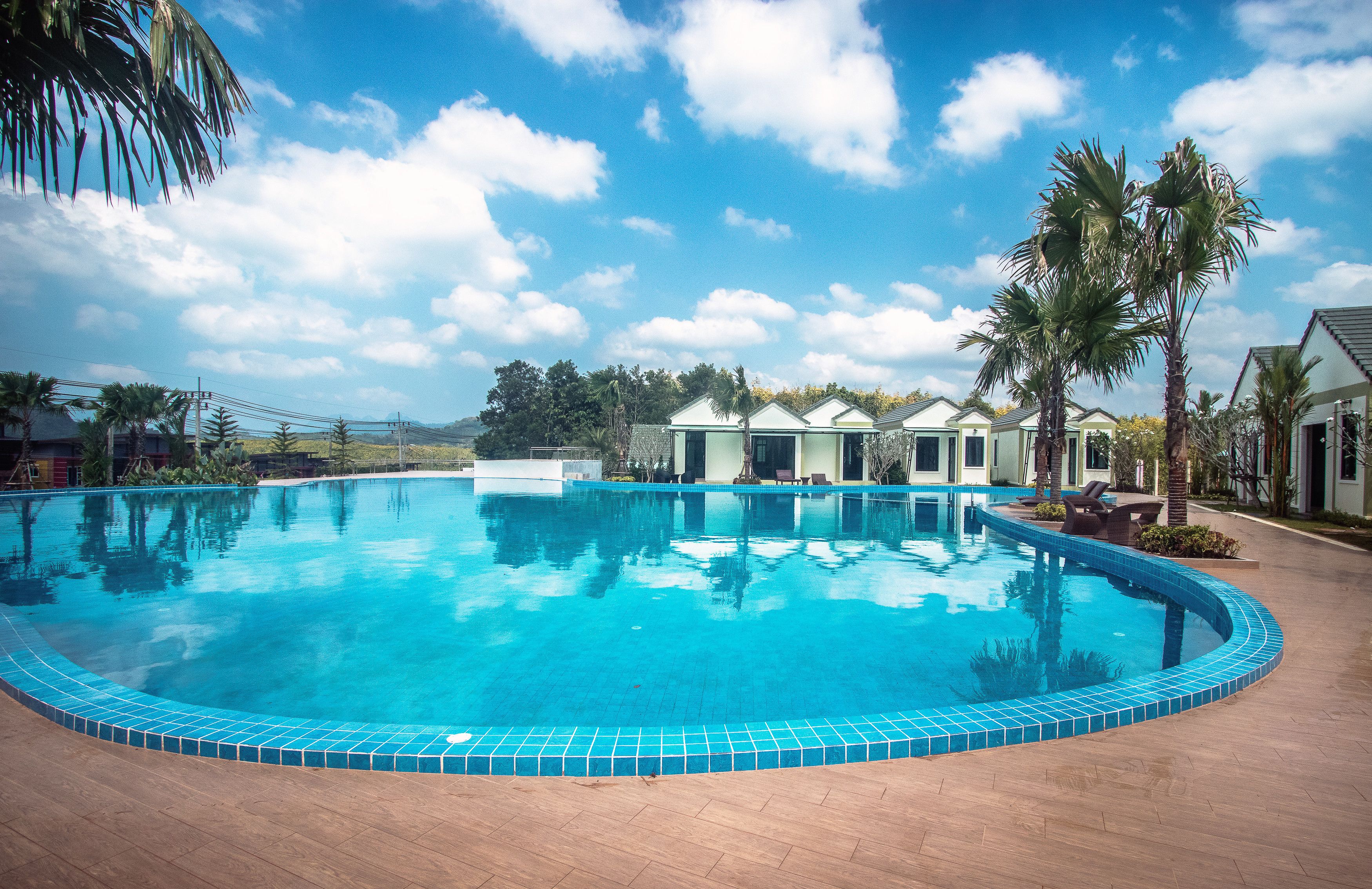 A swimming pool with a tiled edge, surrounded by palm trees and a clear sky.
