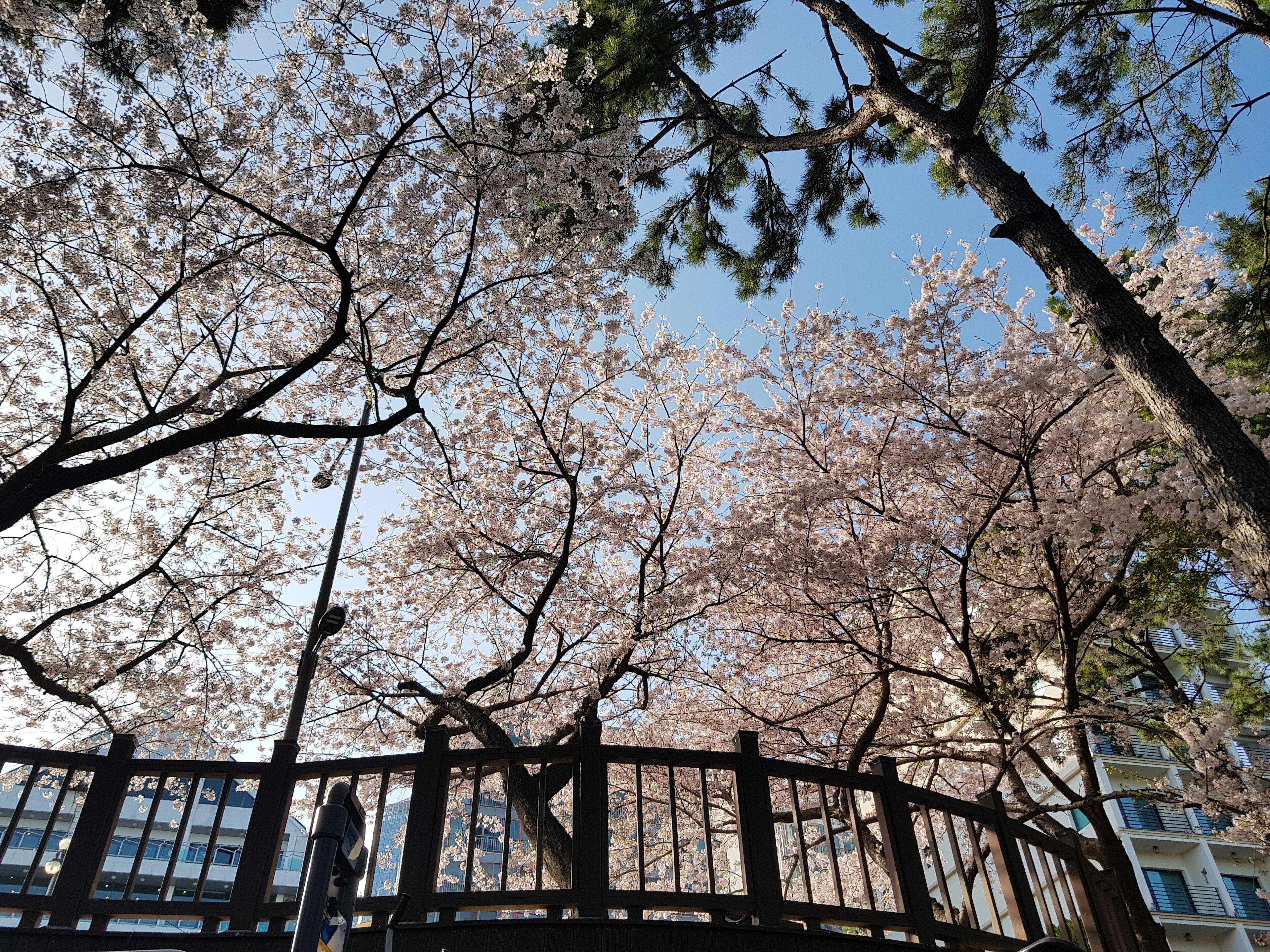 land view from property