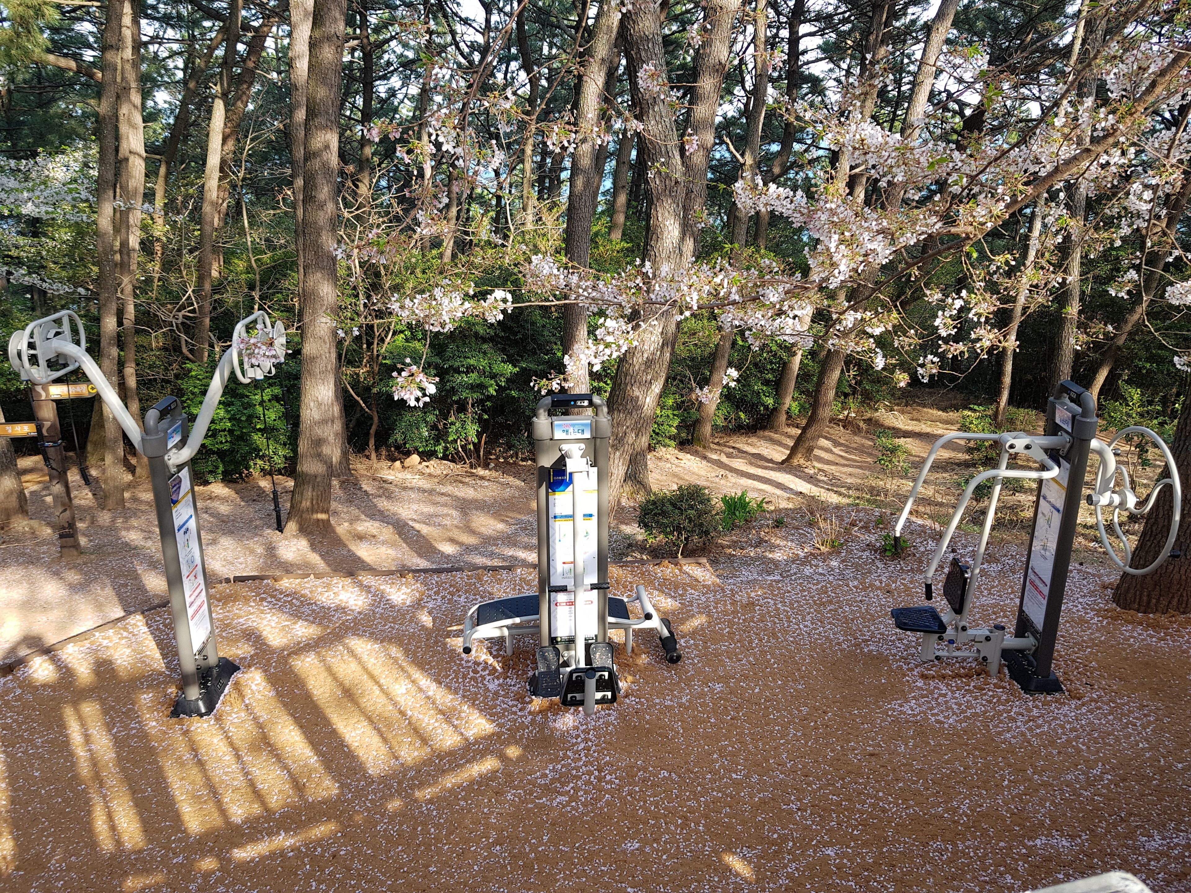 land view from property
