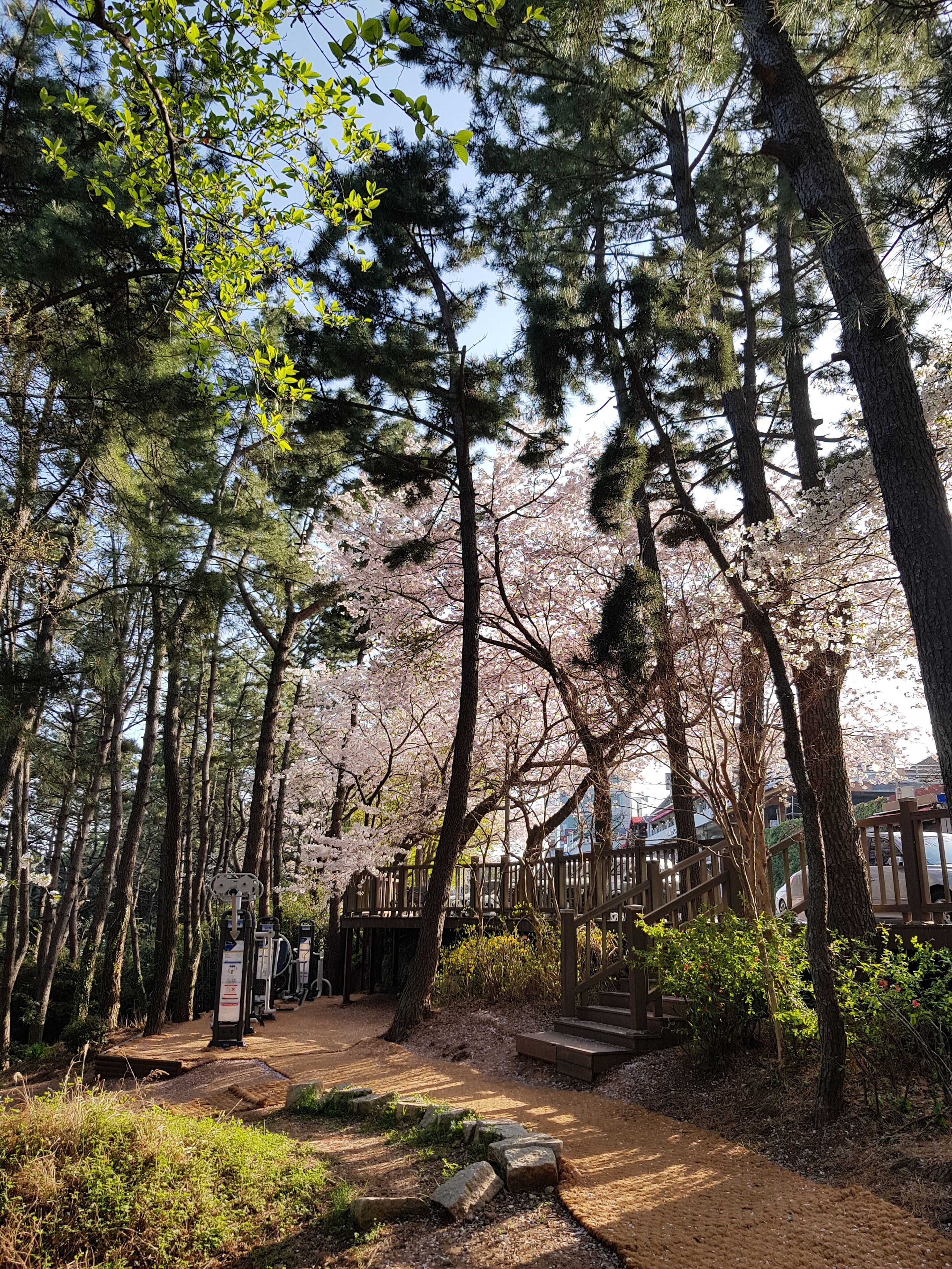 land view from property