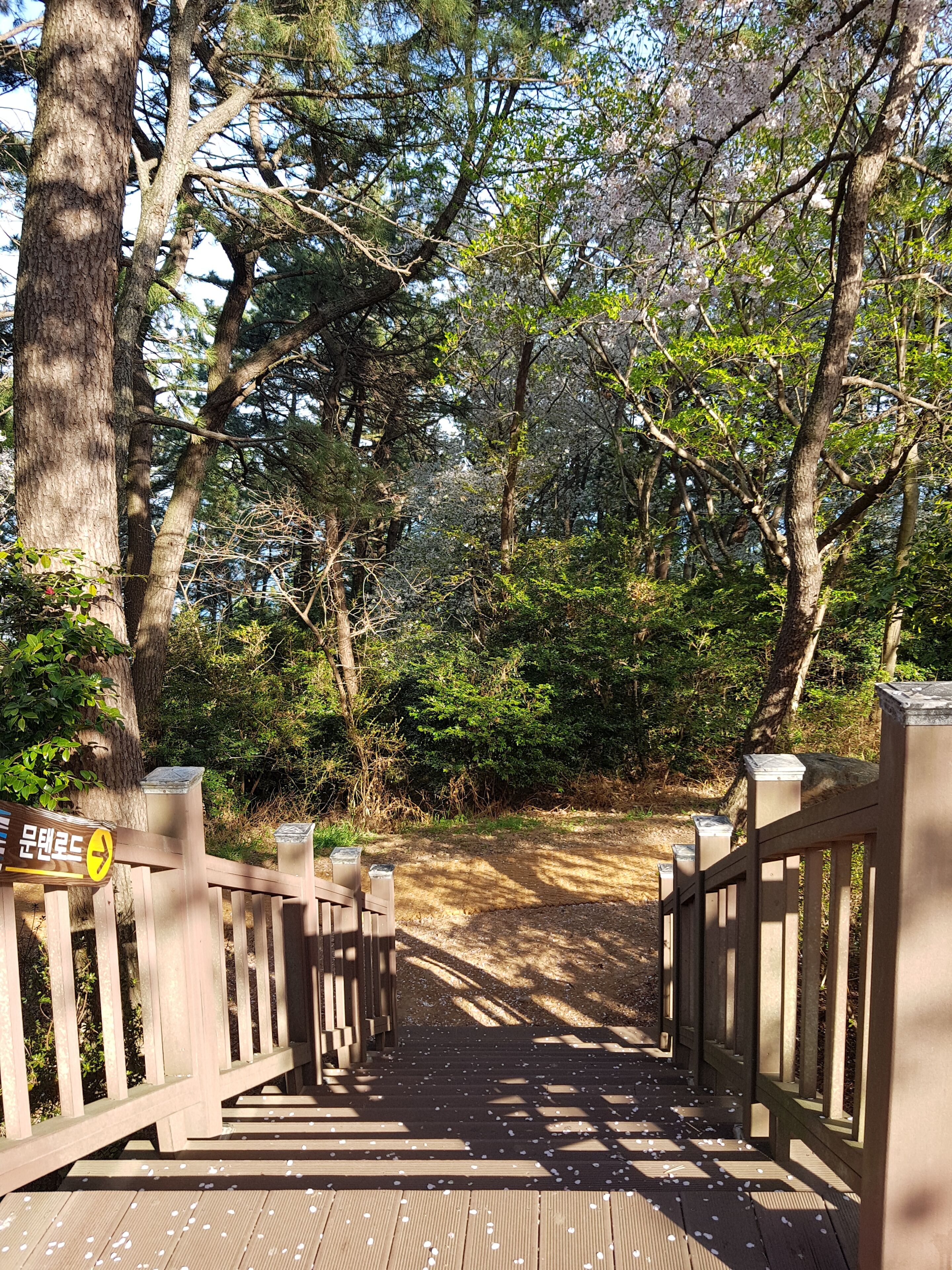 land view from property