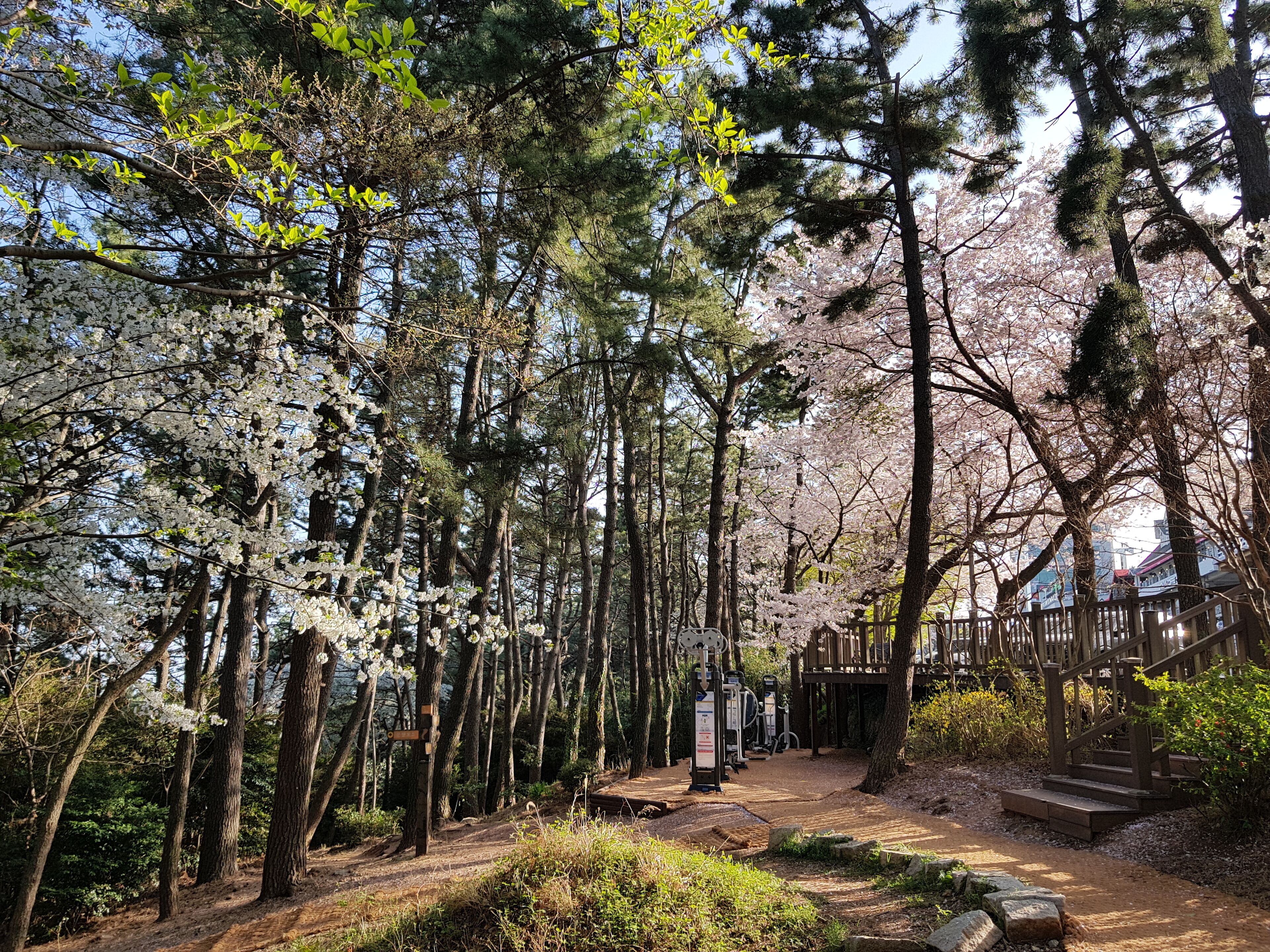 land view from property